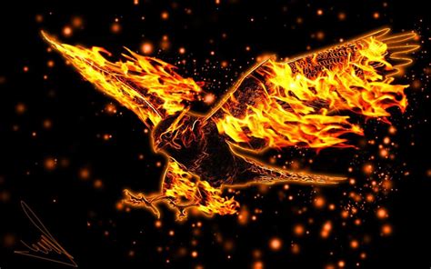 fire eagle wallpaper|fire eagle wallpaper for laptop.